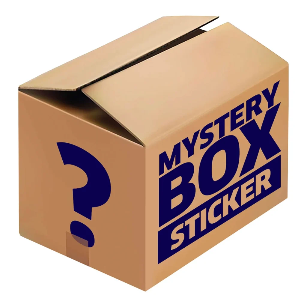 Plain cardboard mystery box carton used for Mewoo shipments